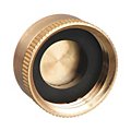 Garden Hose Caps image